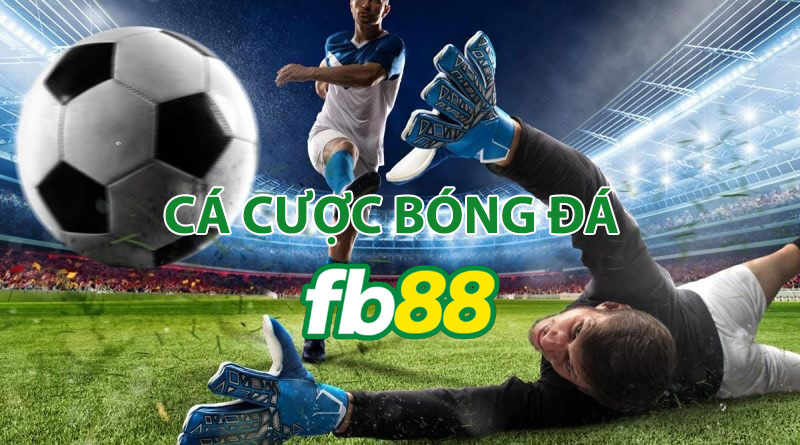 cá cược bóng đá FB88